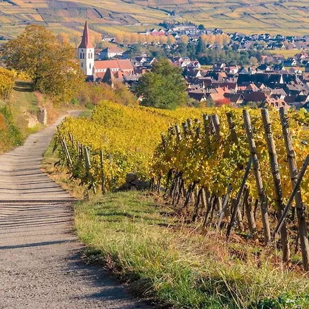 Sublime 2 Terrasses Vue Sur Le Vignoble *