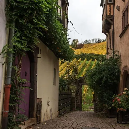 Sublime 2 Terrasses Vue Sur Le Vignoble Appartement